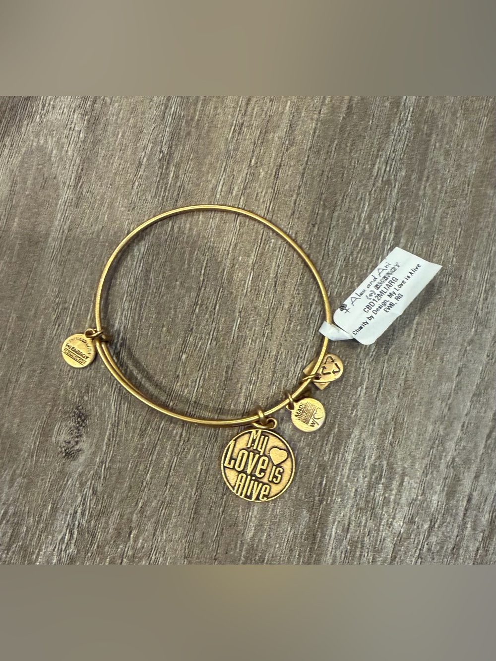 Alex and Ani Gold-tone 'My Love Is Alive' Charm Bangle
